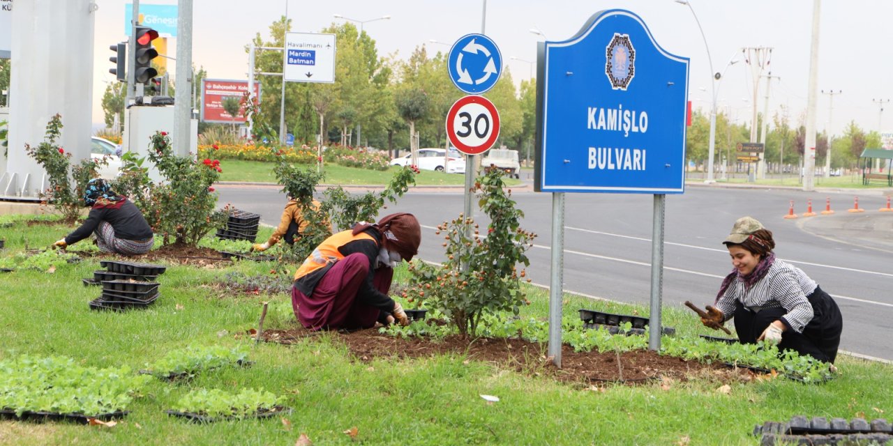 Diyarbakır'da kışlık mevsimlik çiçekler toprakla buluşmaya başladı