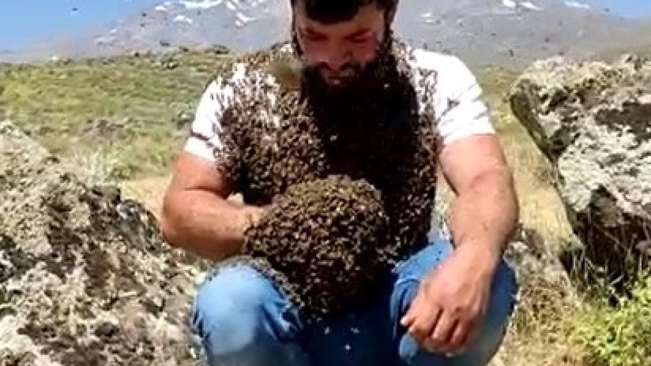 Arı adam'ın Diyarbakır'da arıları öldü