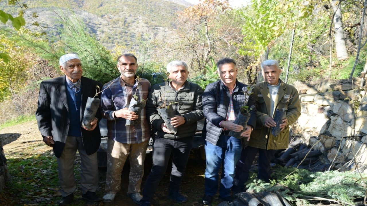 Diyarbakır'da üreticilere fidan desteği