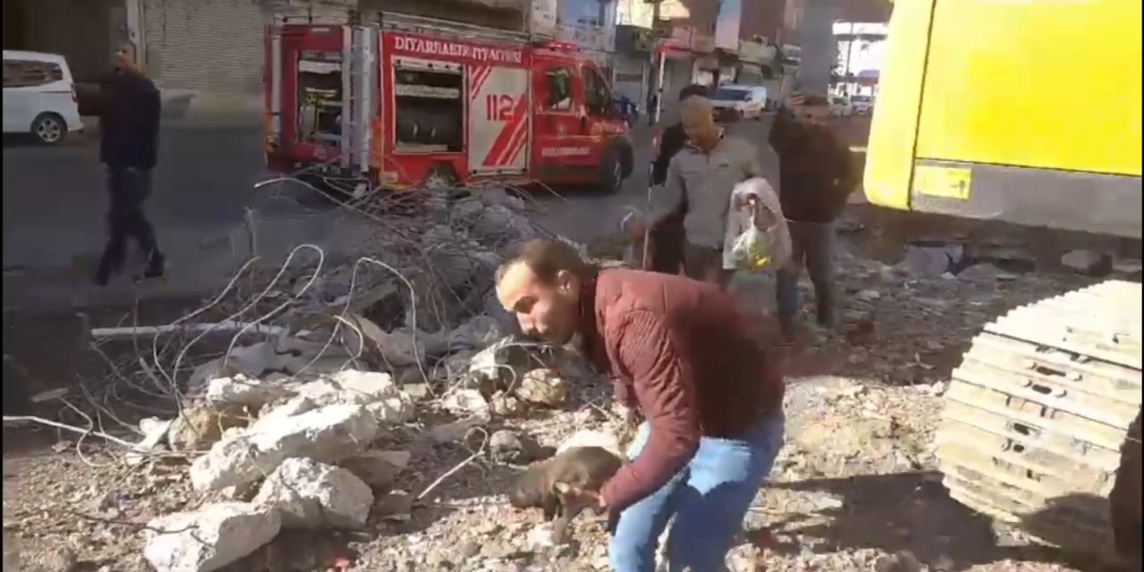 Diyarbakır’da binadaki yıkımda fark edilen köpekler kurtarıldı