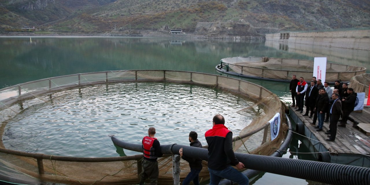 İnceler Baraj Gölü'ne 75 bin yavru balık bırakıldı