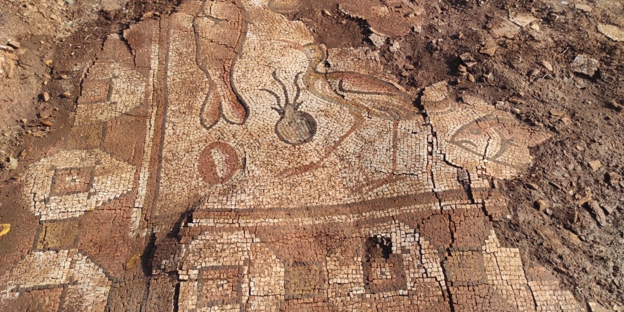 Mardin’de deniz canlıları figürlü mozaikler bulundu