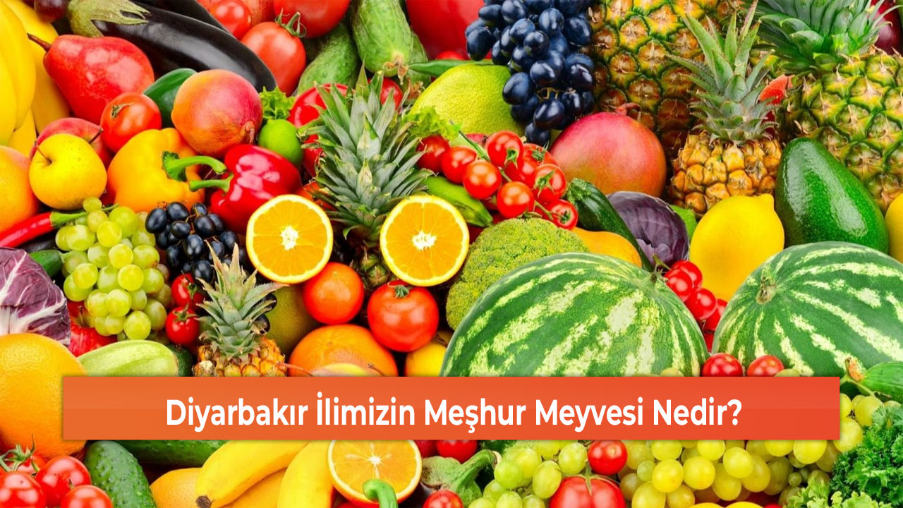 Diyarbakır İlimizin Meşhur Meyvesi Nedir?