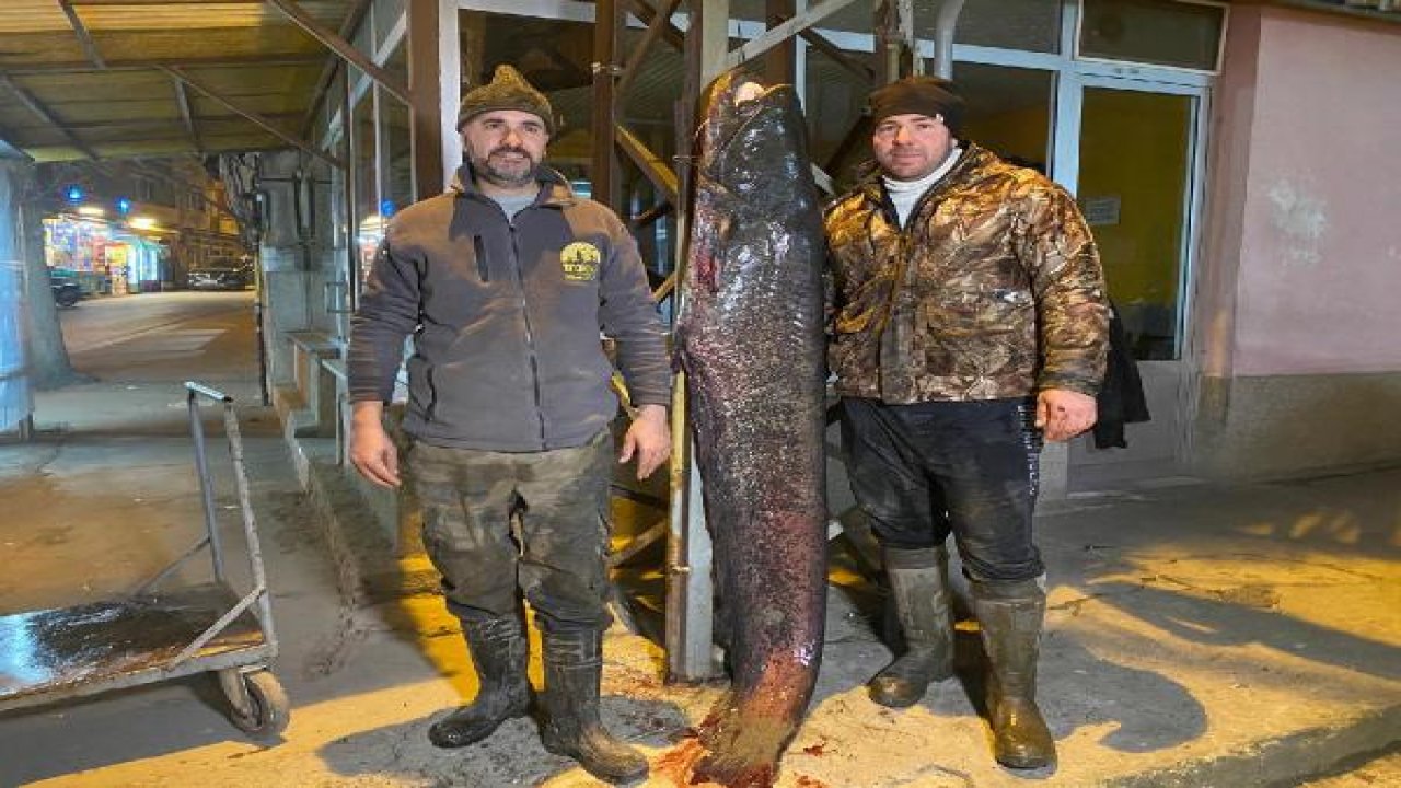 2 metrelik dev balık yakaladılar