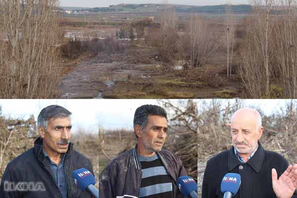 VİDEO HABER - Dicle Nehri'nde binlerce meyve ağacı zarar gördü
