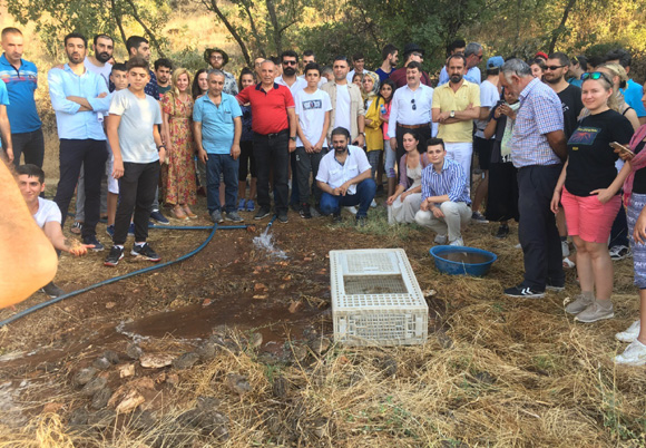 Diyarbakır’da 130 bıldırcın doğaya salındı