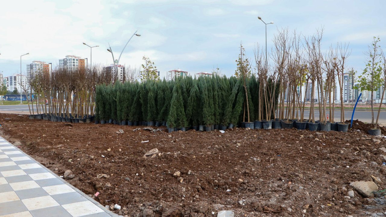 Diyarbakır'da 'Yeşil Kuşakta' çalışmaları sürüyor
