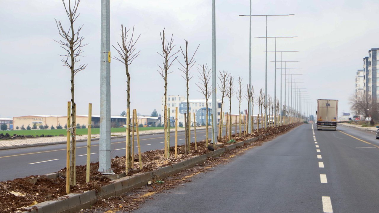 Diyarbakır'da ağaçlandırma çalışmaları sürüyor