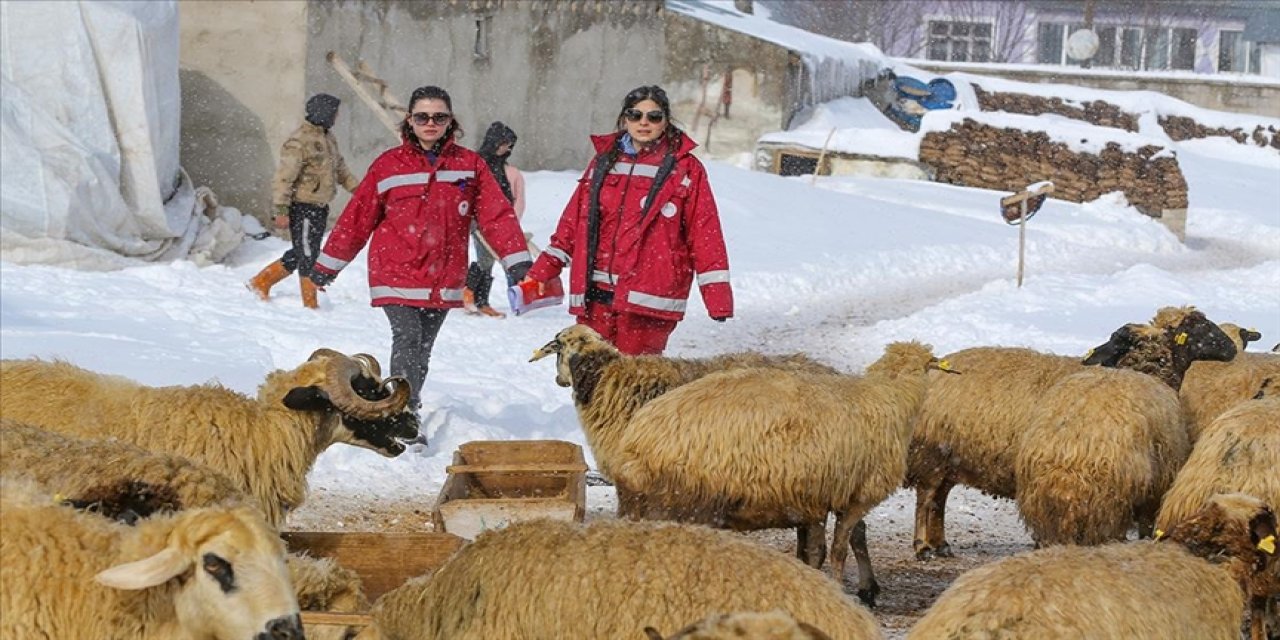 Ağır kış koşullarında hayvanların tedavisi aksatılmıyor