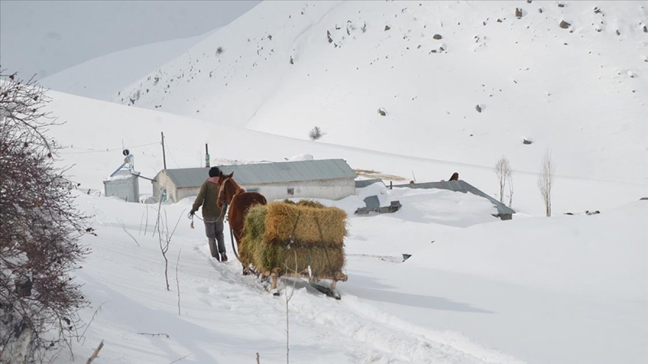 Karla kaplı Muş'ta köylülerden kızakla ulaşım