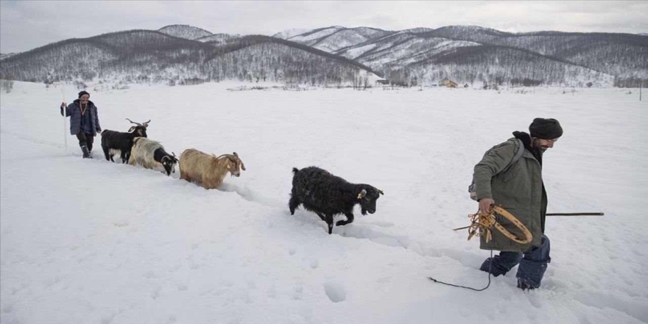 Hayvanları için kışın tüm zorluklarıyla mücadele ediyor