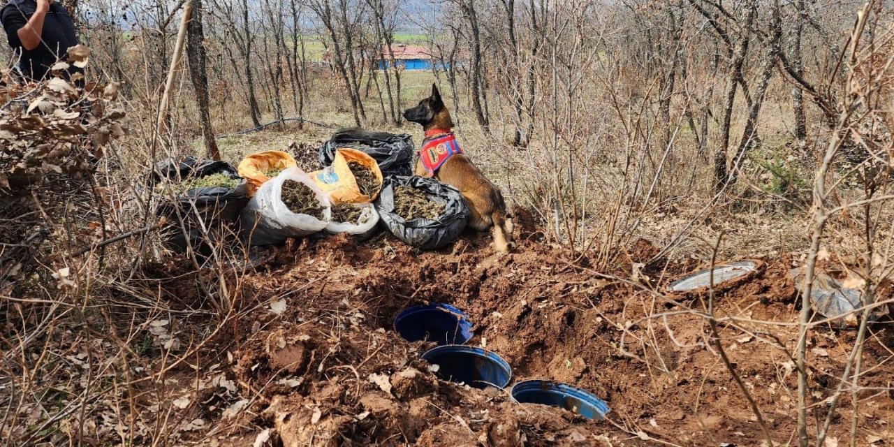 Diyarbakır’da uyuşturucu operasyonu: 43 kilo esrar ele geçirildi