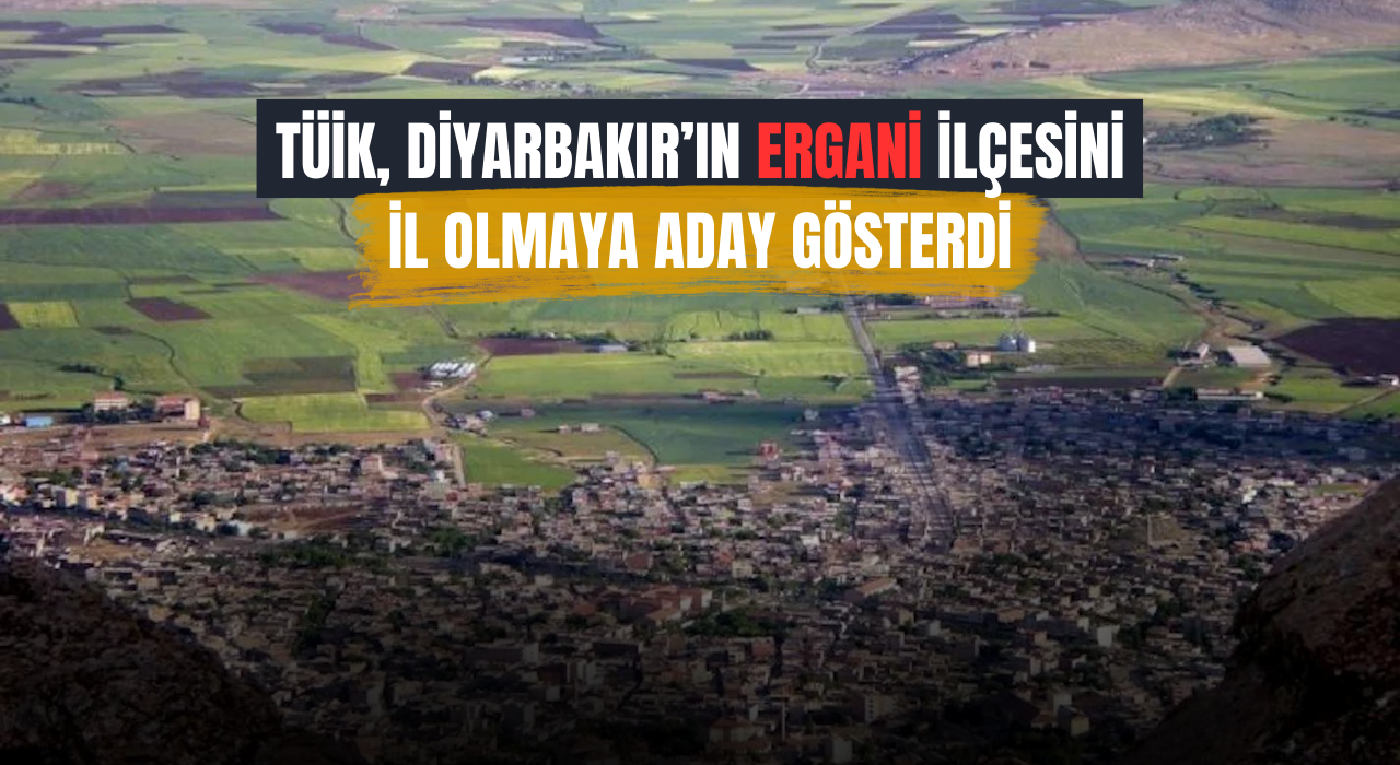 TÜİK, raporunda Diyarbakır'ın Ergani ilçesi il olmaya aday gösterildi