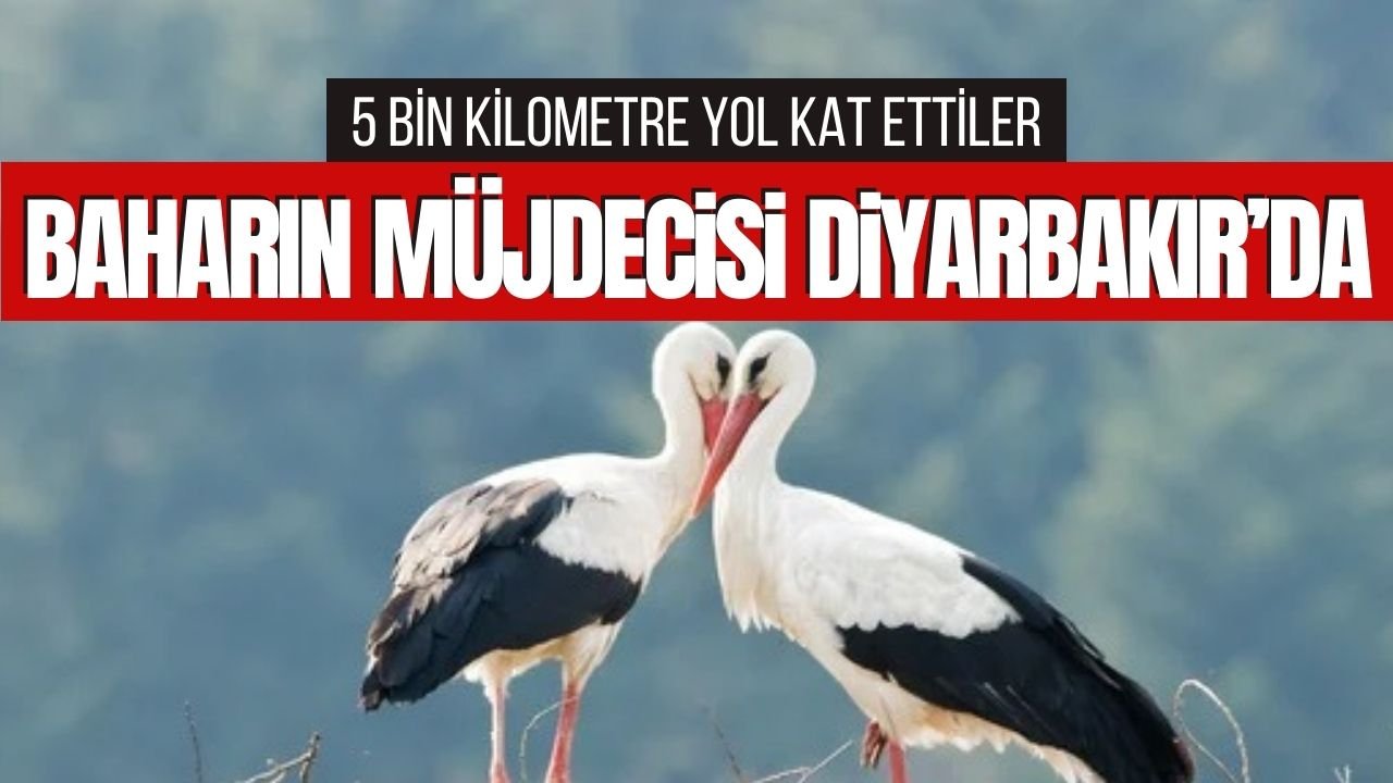 5 bin kilometre yol kat edip Diyarbakır’a ulaştılar