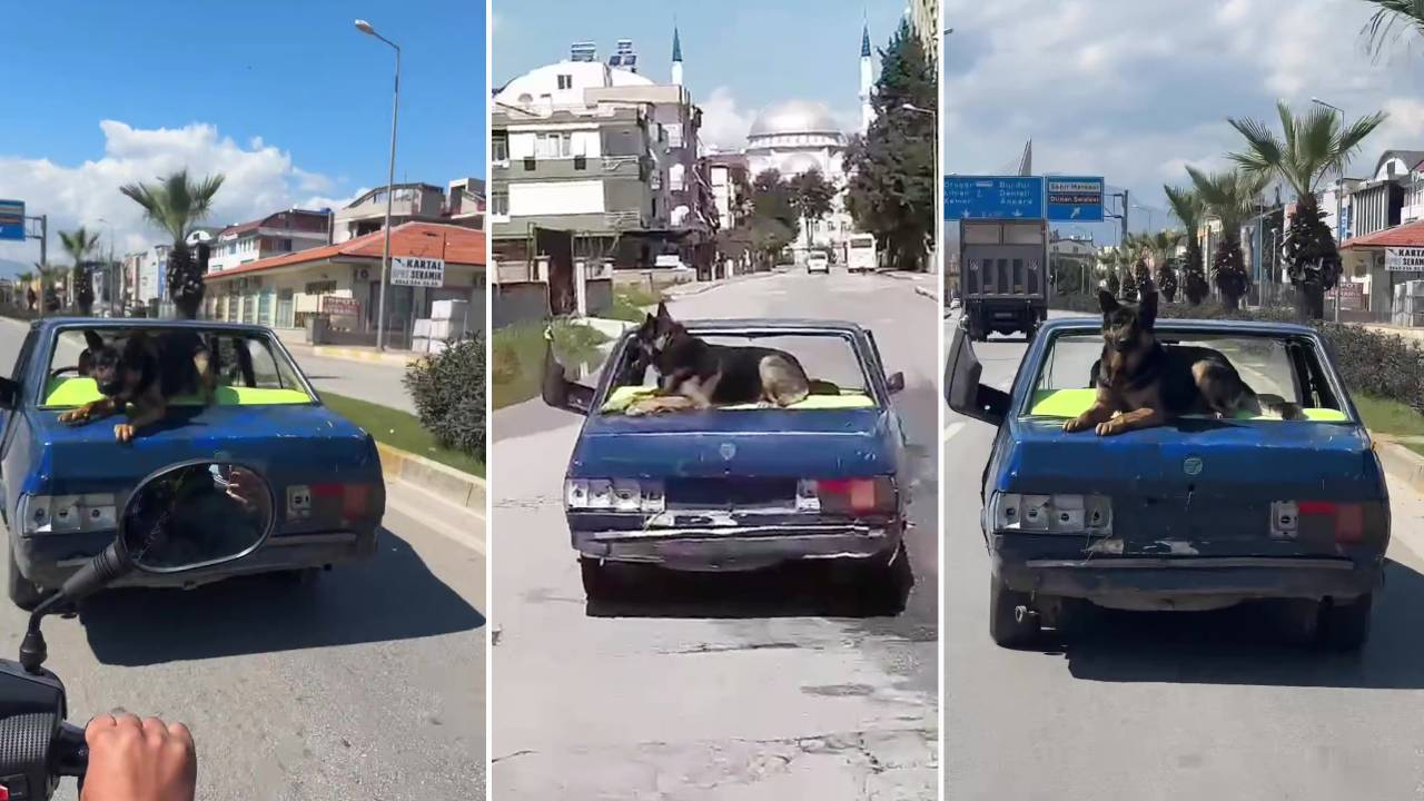 Plakasız, aynasız ve camları olmayan araçla kilometrelerce yol gitti!