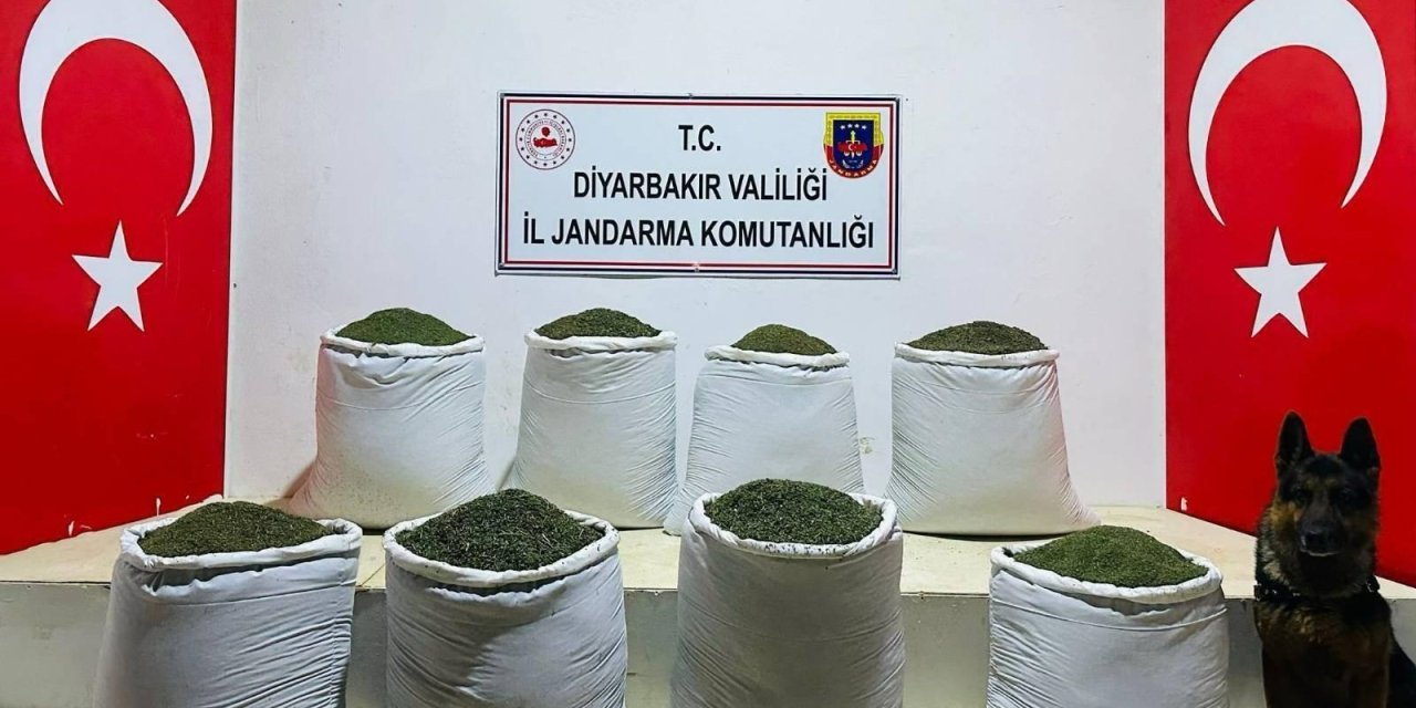 Diyarbakır’da 169 kilogram esrar ele geçirildi