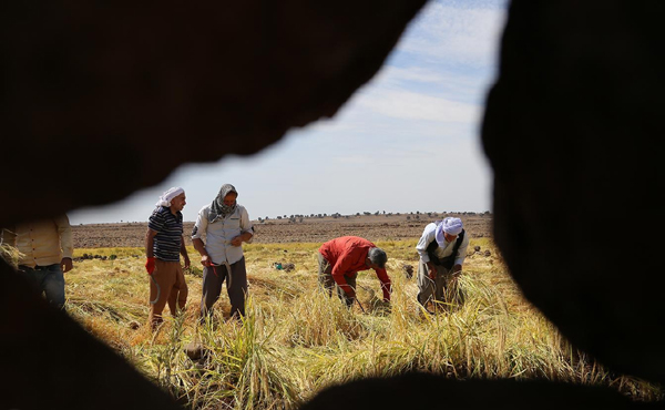 Video Haber:‘Tarım BAĞ-KUR primine getirilen zam çiftçiyi zora sokacak’