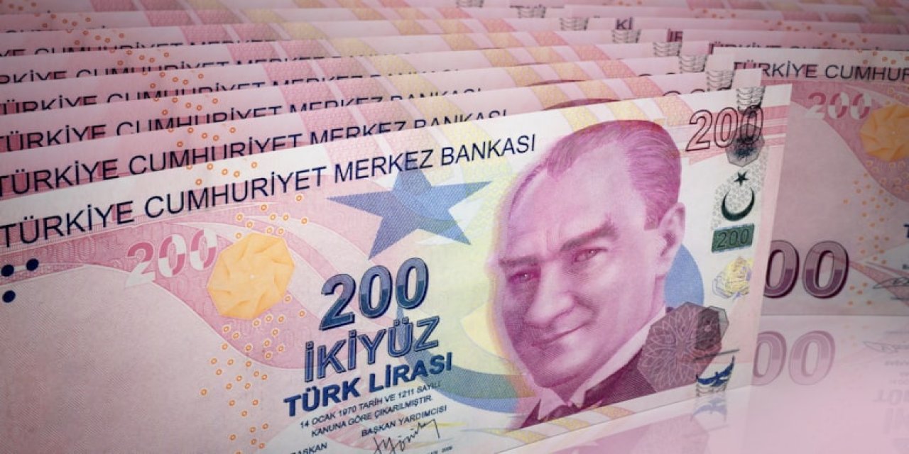 Yeni 200 TL'lik ve 50 TL'lik banknotlar tedavülde