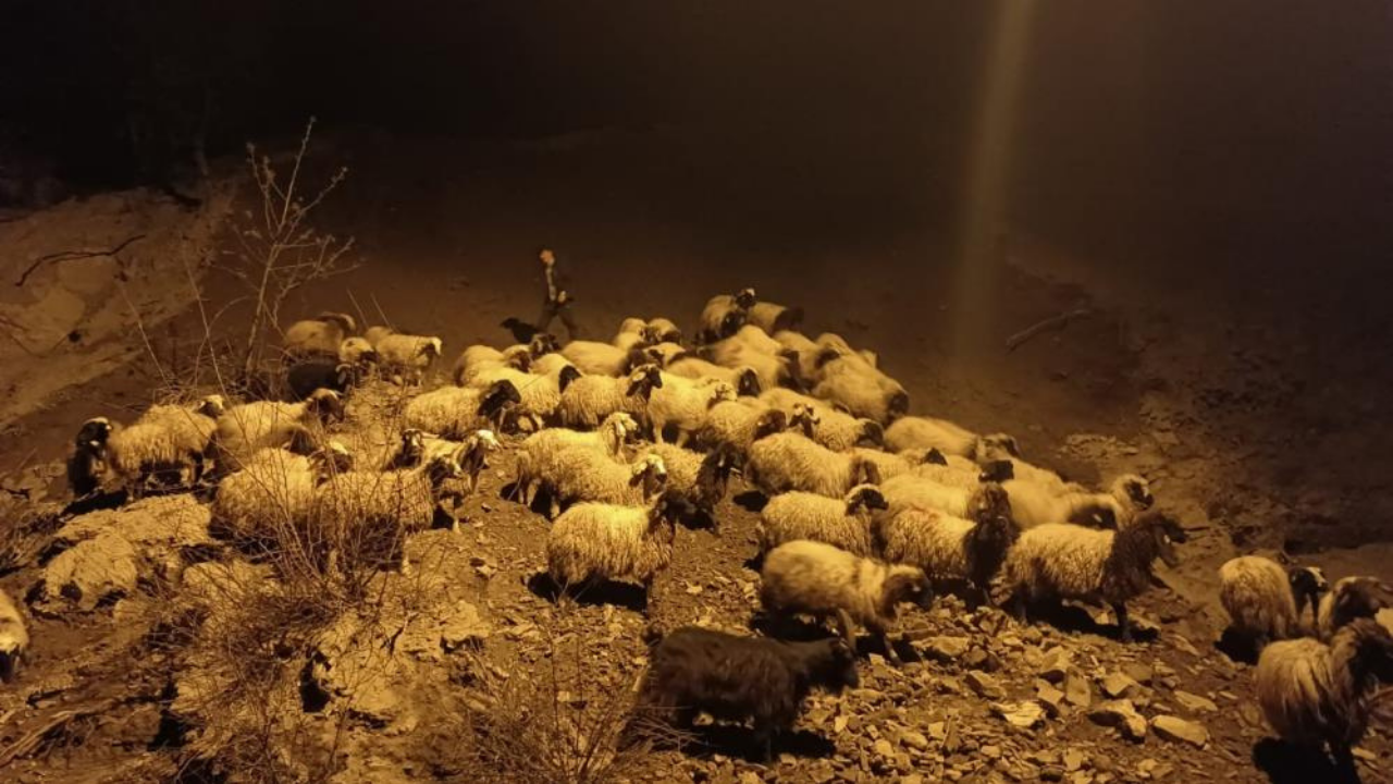 Hakkari'de toprak kayması, hayvan sürüsü son anda kurtarıldı!