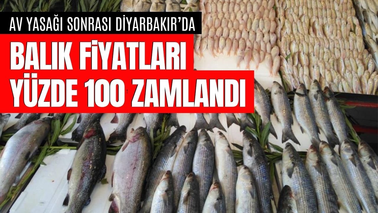 Av yasağı sonrası Diyarbakır’da balık fiyatları arttı