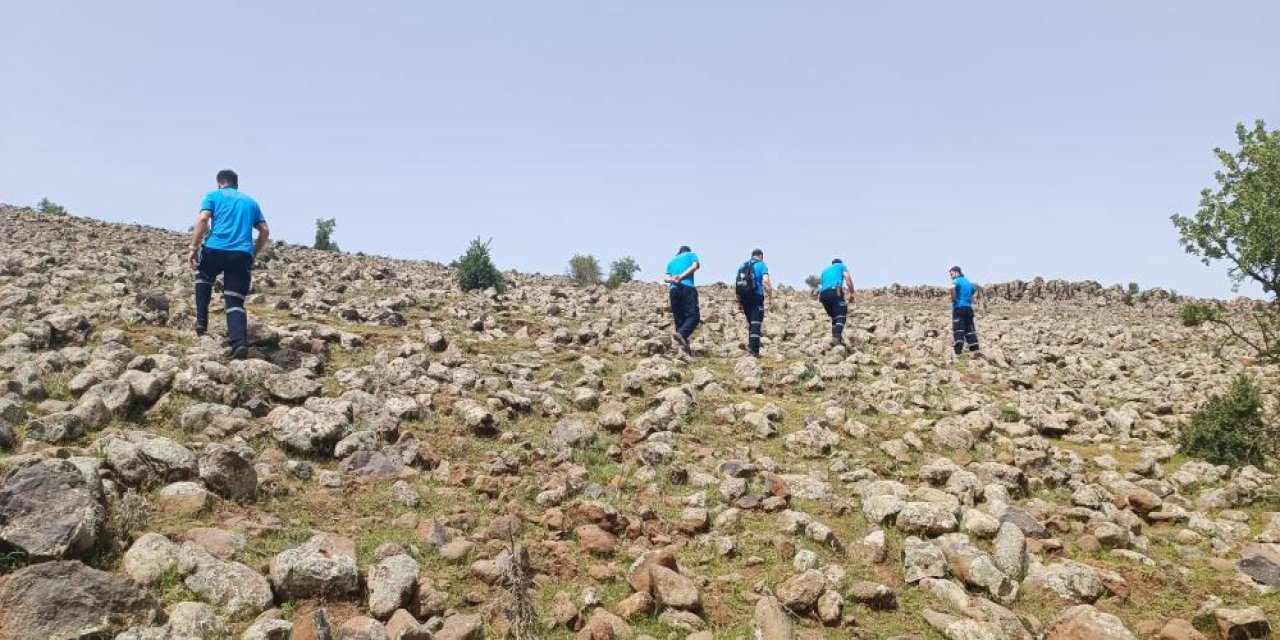 Diyarbakır’daki kayıp çoban didik didik aranıyor