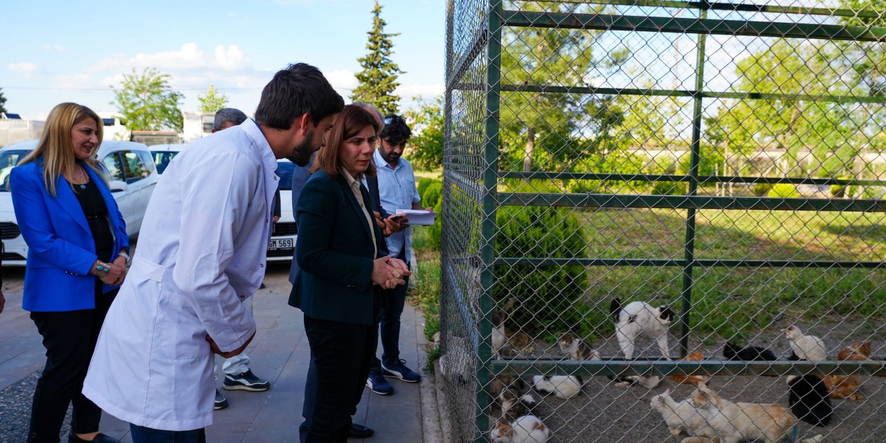 Eş Başkan Bucak, birimlerde incelemelerde bulundu