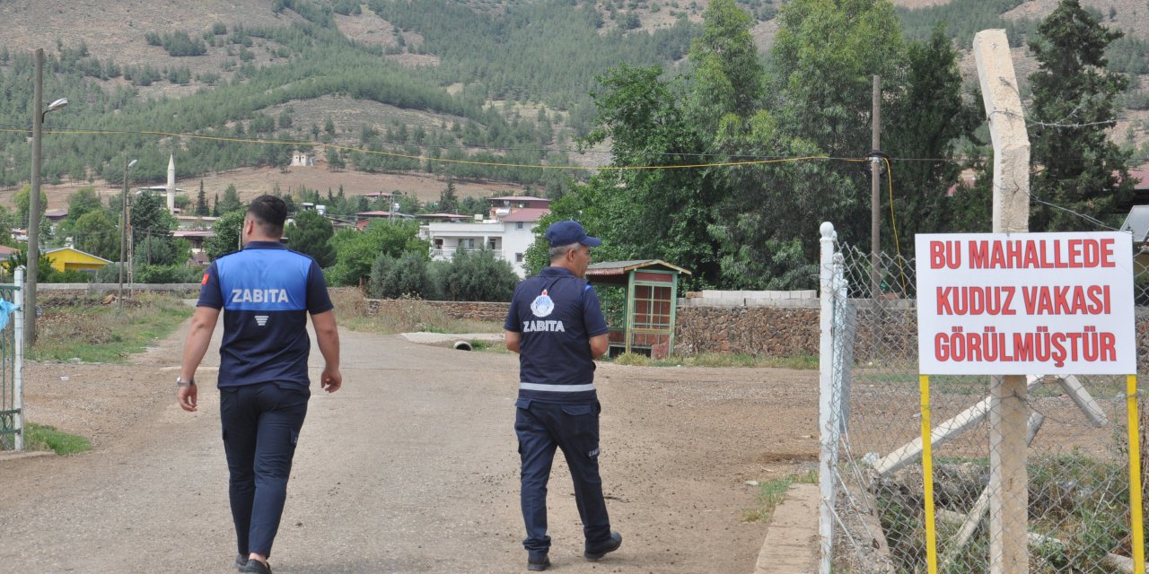 Gaziantep'te iki mahallede kuduz karantinası