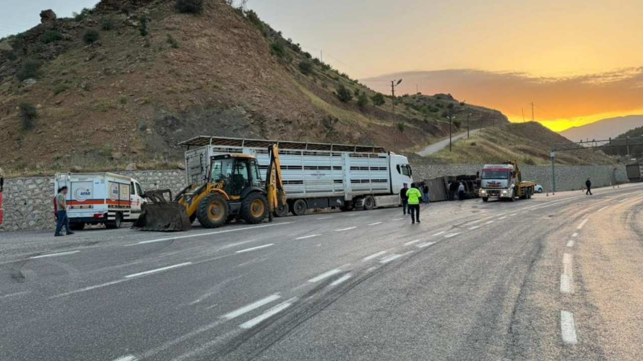 Siirt'te tır devrildi: 2 yaralı, 40 küçükbaş hayvan öldü!