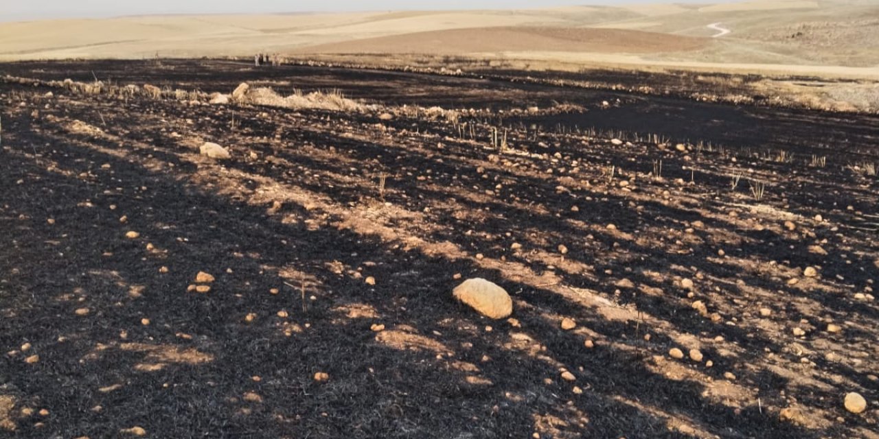 Diyarbakır’da 70 dönüm arpa ekili tarla yandı