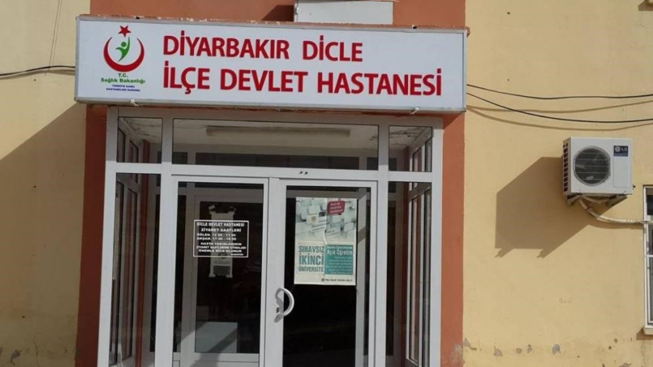 Diyarbakır’da başıboş köpek kadına saldırdı