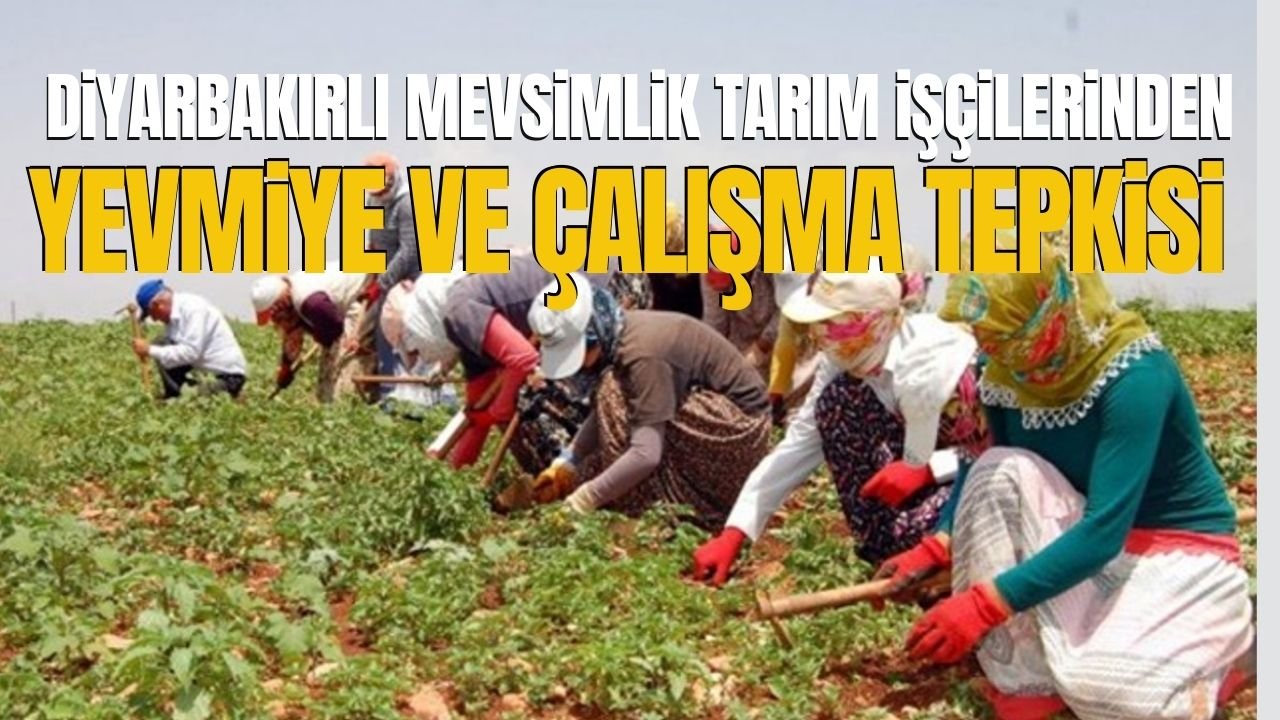 Diyarbakır’da tarım işçilerinden 'ücret' tepkisi