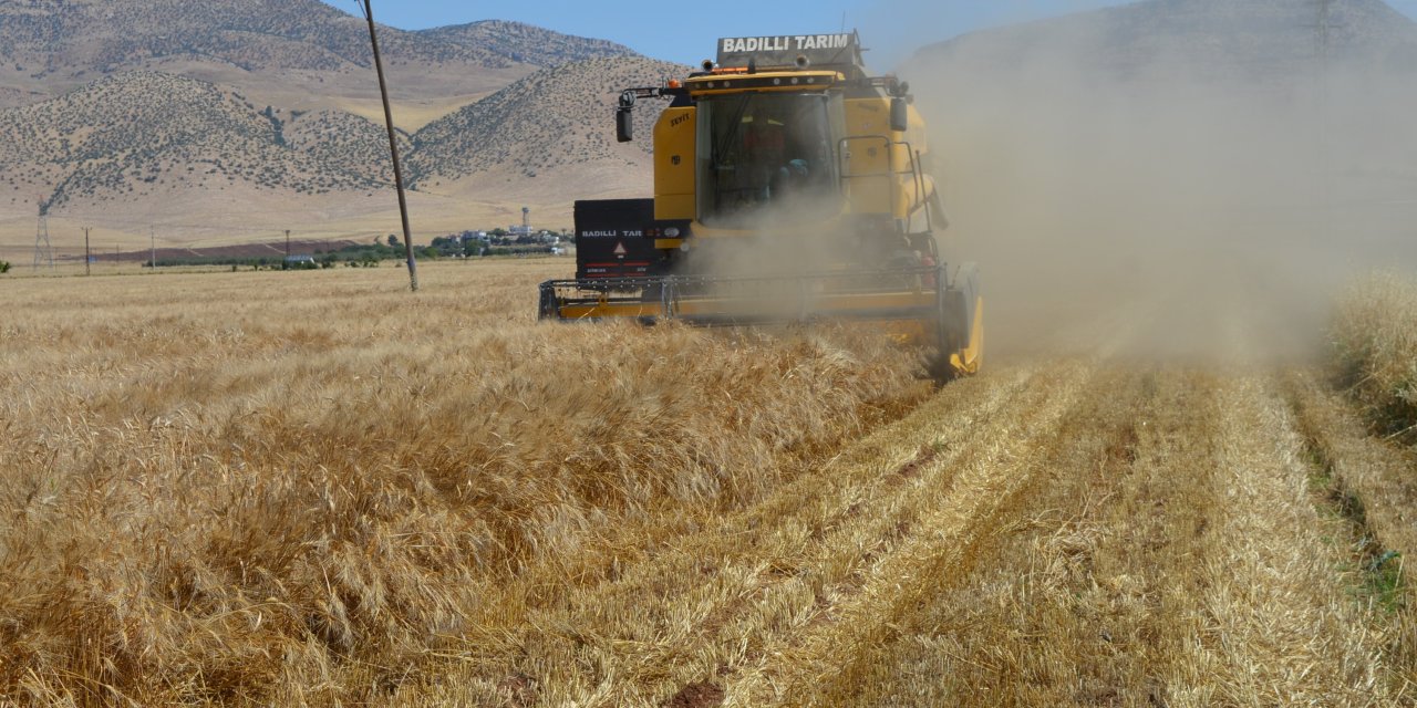 Mardin Ovası'nda hasat zamanı