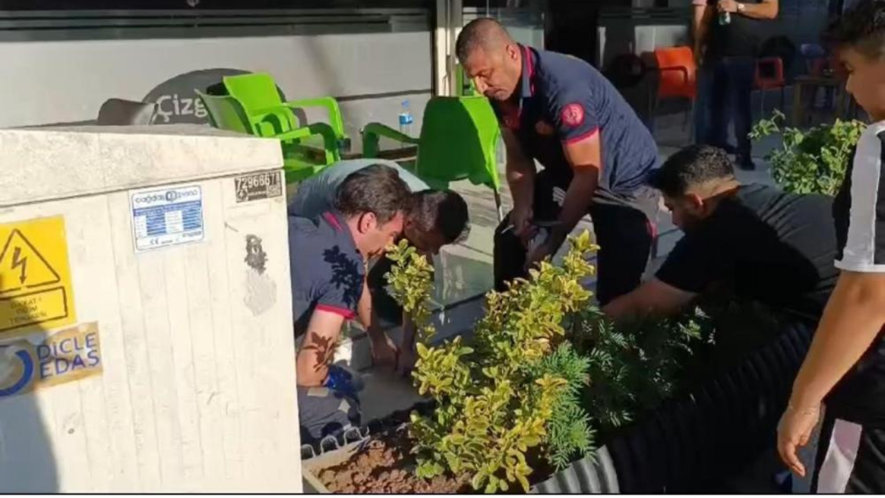 'Boncuk' için seferber oldular