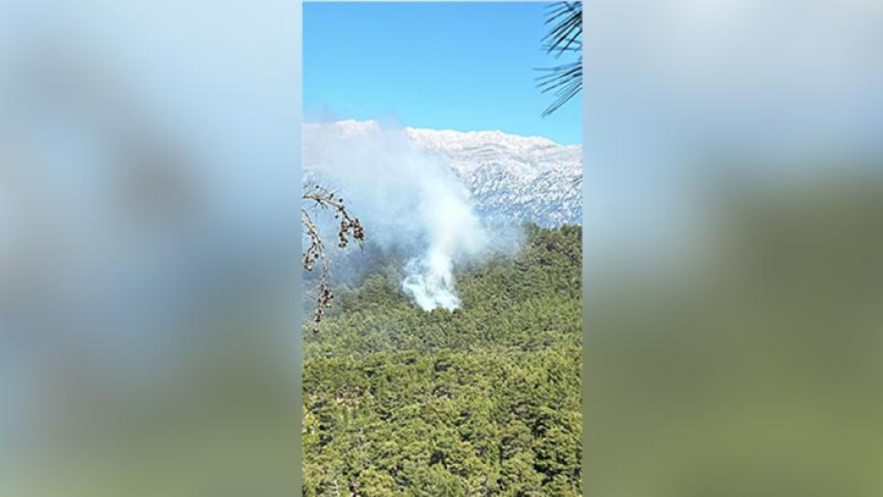 Antalya'da orman yangını, ekiplerin müdahalesi sürüyor