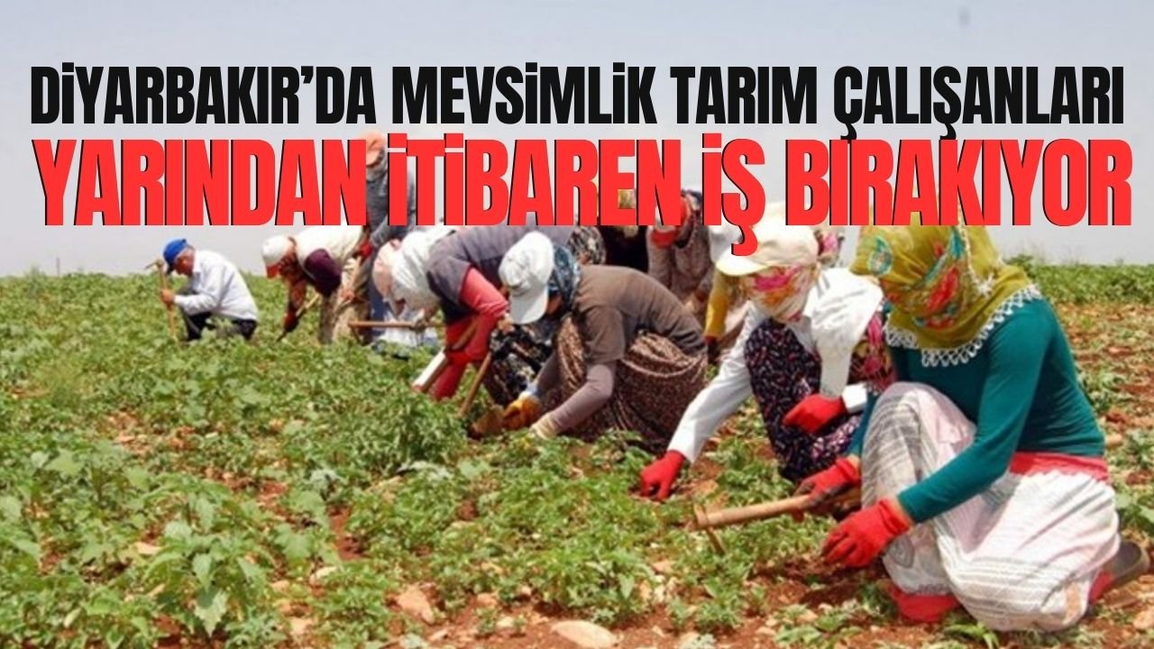 Diyarbakır’da tarım çalışanları iş bırakıyor