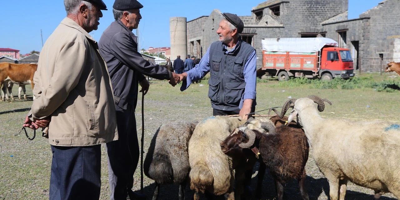 Kurban fiyatları ne kadar?