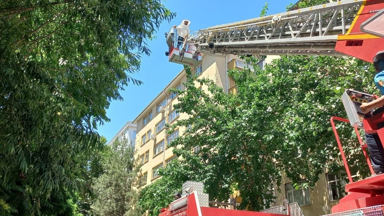 Diyarbakır itfaiyesi bu kez arılar için seferber oldu