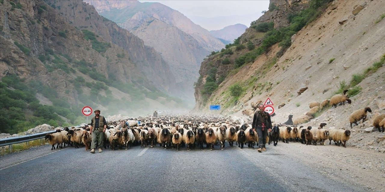 Göçerler, günler süren yolculuğun ardından yaylaya ulaştı