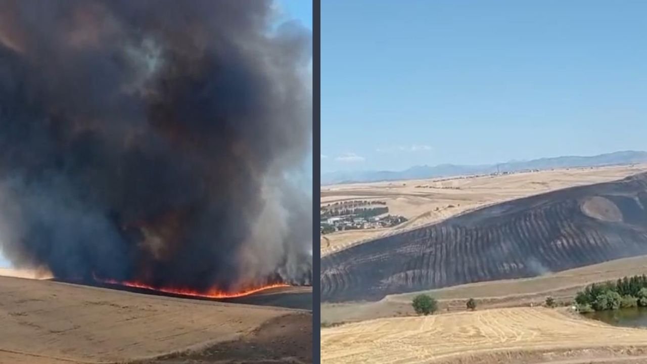 Diyarbakır’da bin dönümlük arazi küle döndü