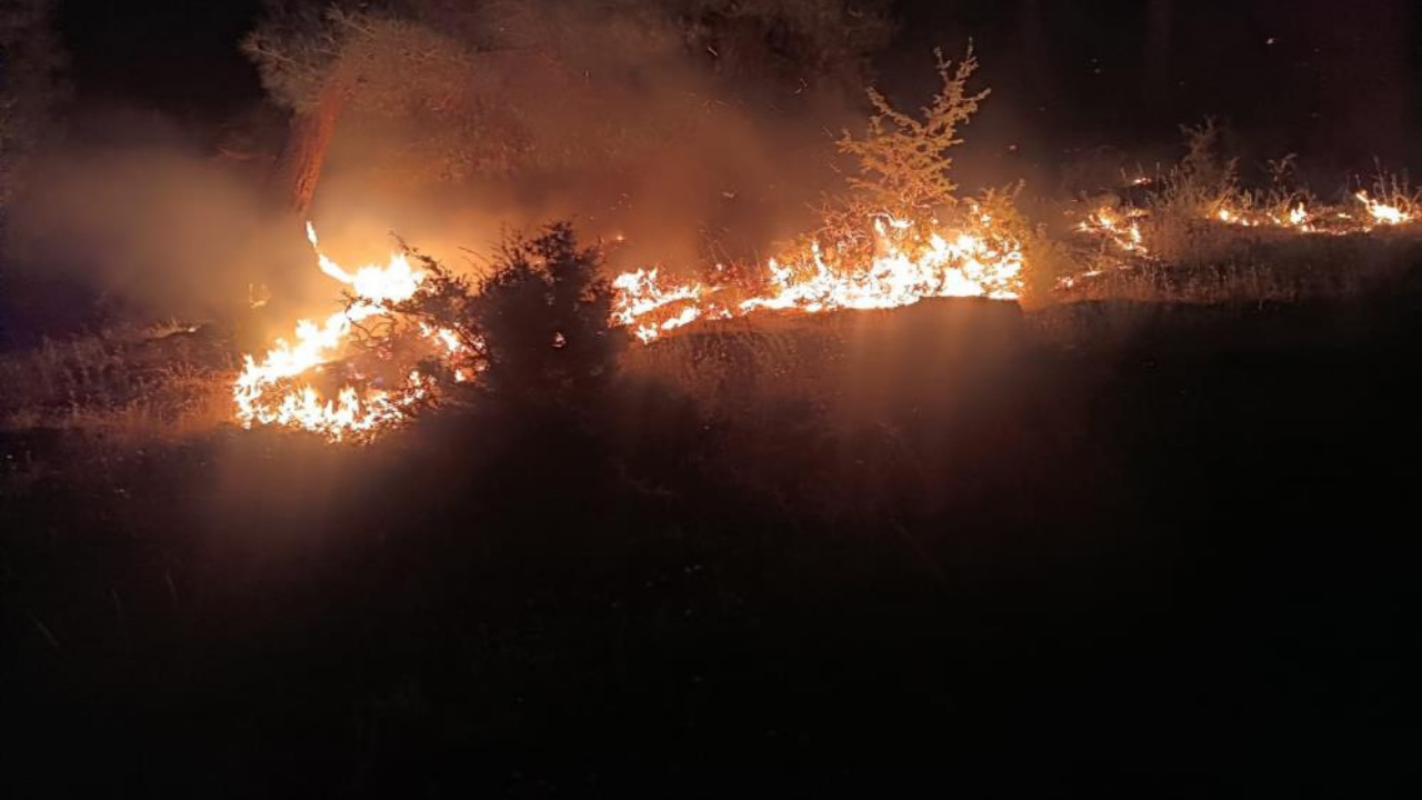 Denizli'de yangınla mücadele geceden bu yana devam ediyor