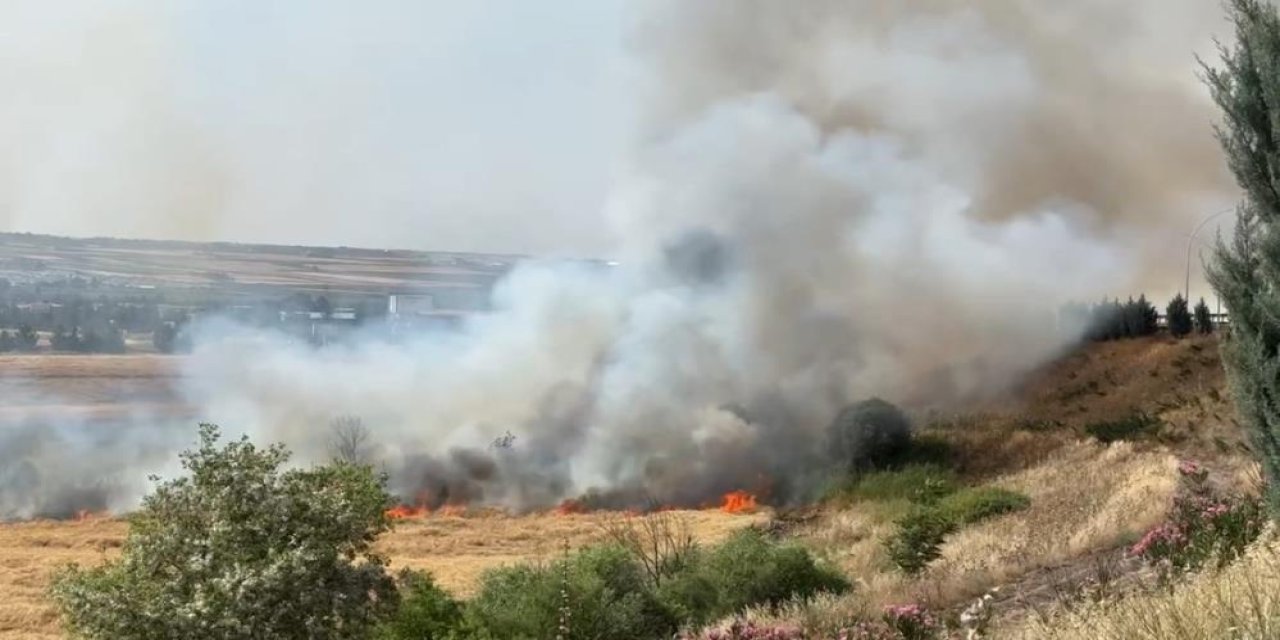 Diyarbakır’da 300 dönüm ekili buğday yandı