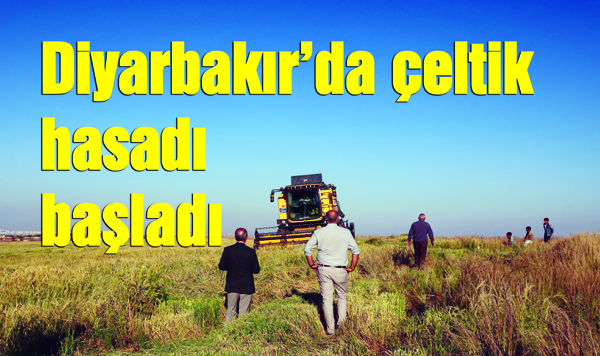 Diyarbakır’da çeltik hasadı başladı