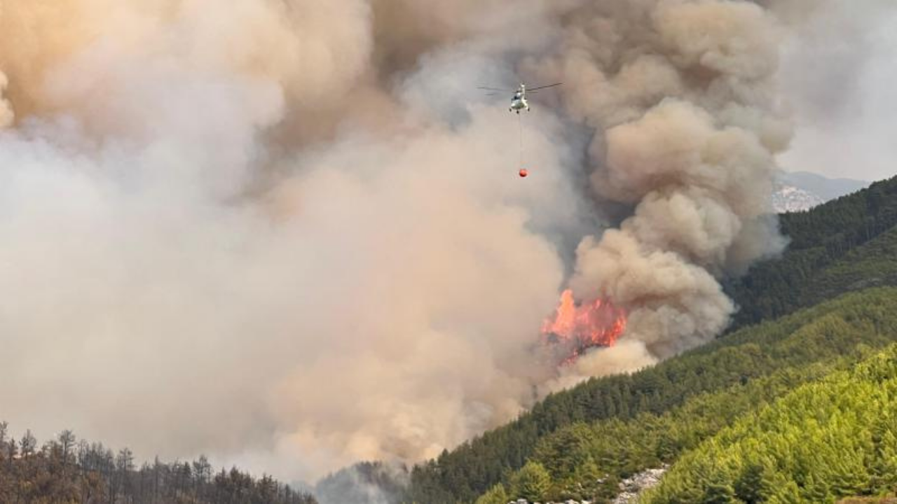 Orman yangınlarıyla mücadelede yapay zeka devrimi