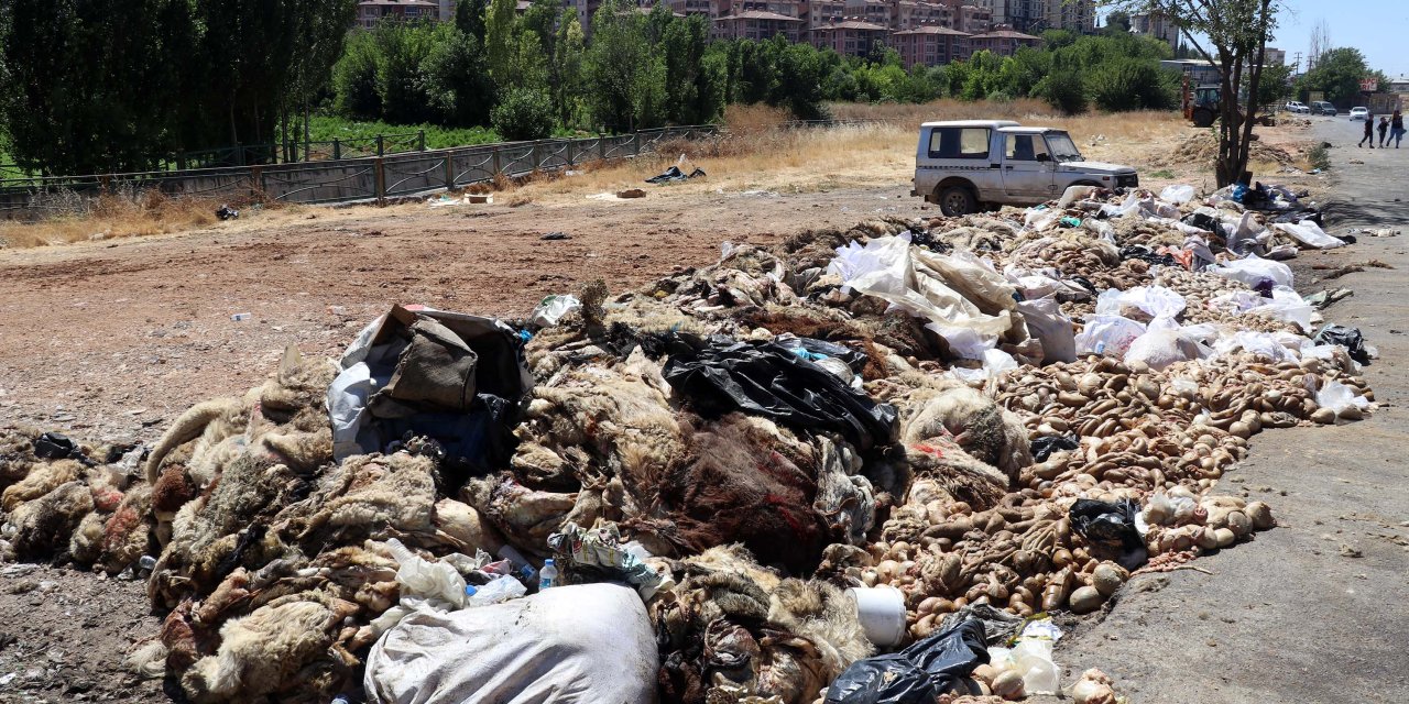 Yol kenarlarına atılan yüzlerce kurban derisi ve atık tepki topladı