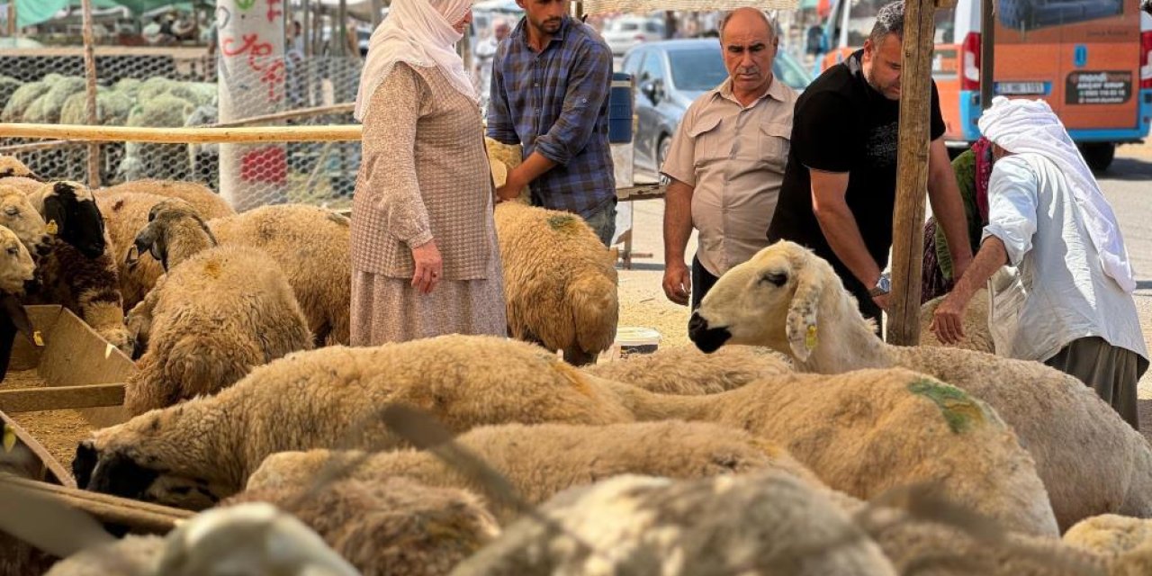 Diyarbakır'da hayvan pazarlarında yoğunluk arttı