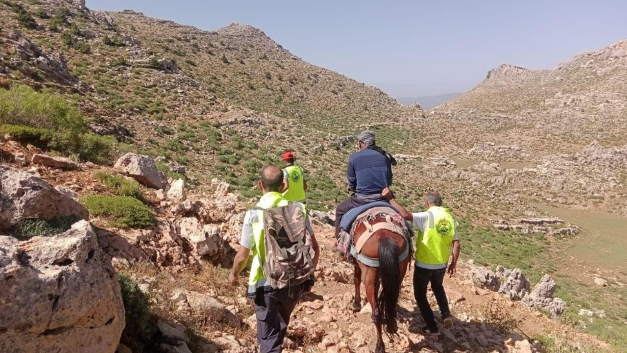 At sırtında ambulansa ulaştırıldı