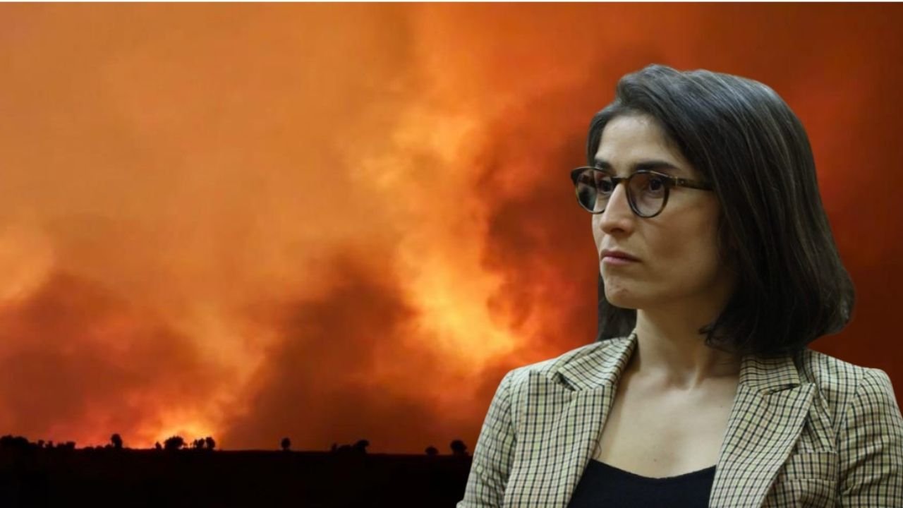 Diyarbakır-Mardin yangını için Meclis Araştırması talebi