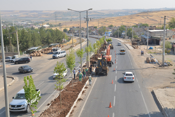 Büyükşehir Belediyesi Silvan Caddesi’ni ağaçlandırıyor