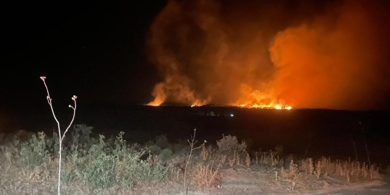 Lice’de gece başlayan orman yangını söndürüldü