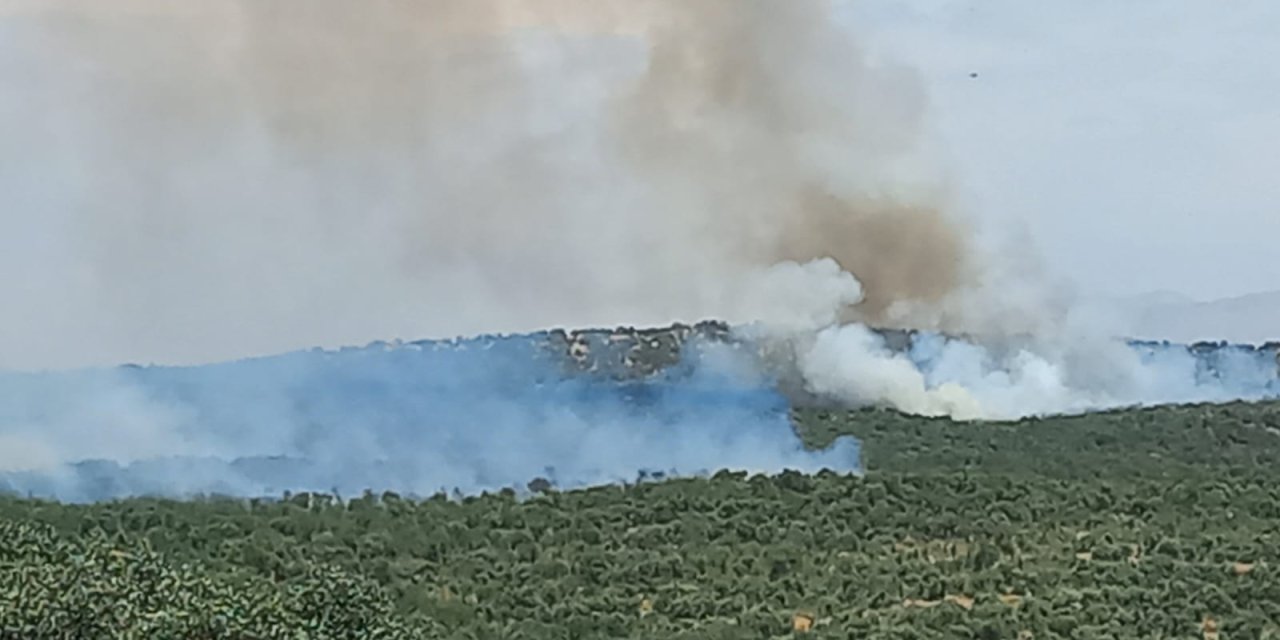 Diyarbakır’da söndürülen ormanda yeniden yangın çıktı